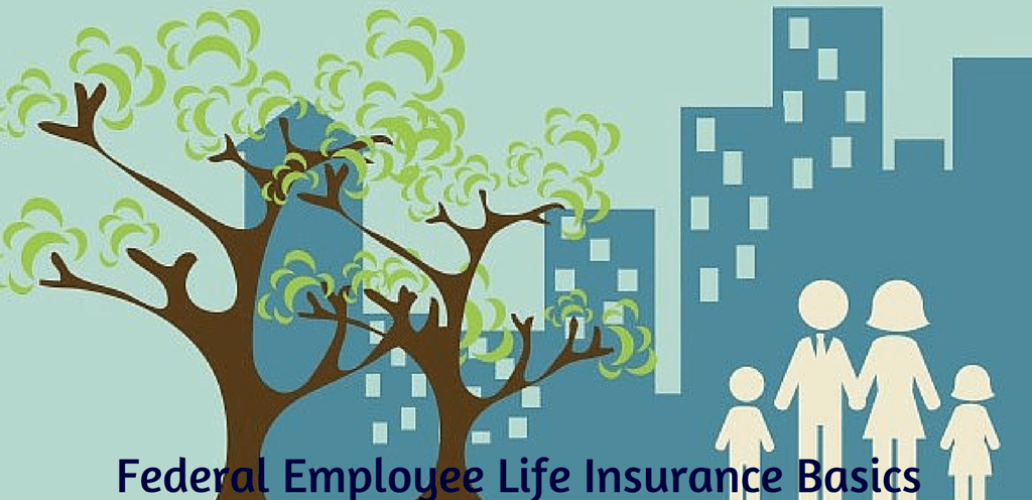 federal-employee-life-insurance-basics