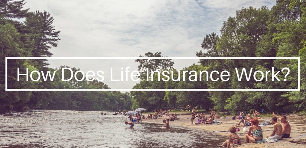 How Does Life Insurance Work?